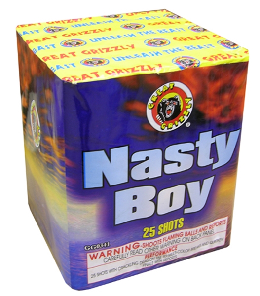 Picture of Nasty Boy