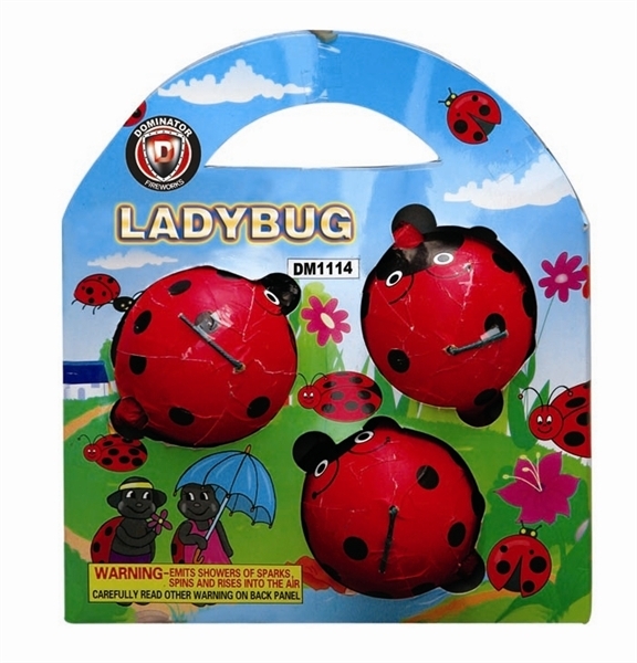 Picture of Lady Bug