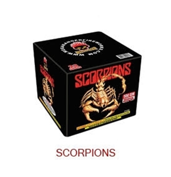 Picture of Scorpions