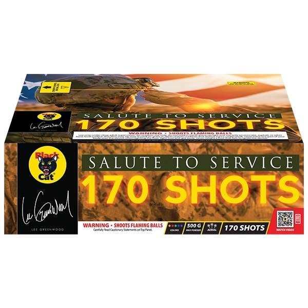 Picture of Salute to Service
